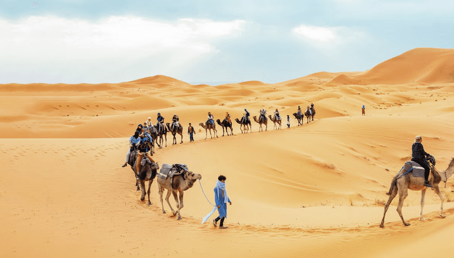 Sandboarding free session